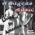Livin in America by Wildgeas Music