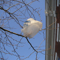 MICA Sound I: Fall 2009 by Erik Spangler