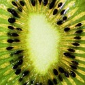 026_large