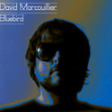 Bluebird by David Marcouillier