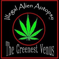 Greenest_venus_rpm_album