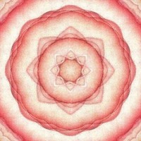Onion_bell_image_5_album