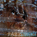 s3quence by jazzsequence