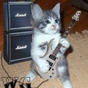 Kittywg_large