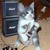 Wildgeas Music
