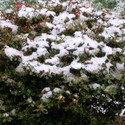 Dscn1570_large