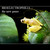 Bio_electro_cover_small
