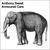 Armoured-cars_small