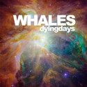 Dying Days by Whales