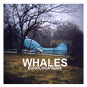 Echolocations by Whales