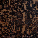 Protosap_large
