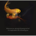 What are you doing following me ? I'm supposed to be following you. by thetworegs