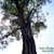 Portada_small