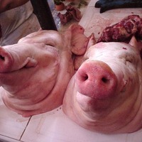 Piggles_album
