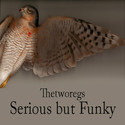 Serious but Funky by thetworegs