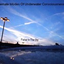 Fisher In The Sky [RPM] by AMUC