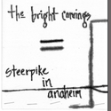 the Bright Carvings : Steerpike in Anaheim by Black Picket Fence Records