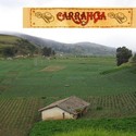 Carranga