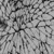 MUTATE
