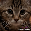 Purrrrrrrr.........Regs by thetworegs