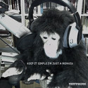 Keep it simple i'm just a Monkey by thetworegs