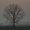 December by dougsparling