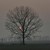 Sunset_in_winter2-400x416_small