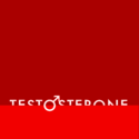 Persona: Testosterone by Persona