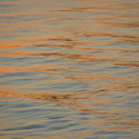 Dsc01479_large