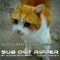 2.3 Giovanni Like by SUB OUT RIPPER