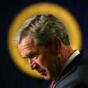  glü VS Pres. Bush  by glu
