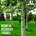 Recovery Figures by Room 34