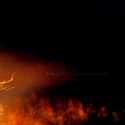 Pissing In the Dark at the Edge of Town by Surre Thang