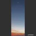 Purification by sinuata